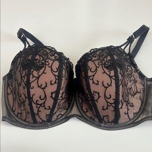 Hips & Curves Black Lace Bra With Wires and Pads